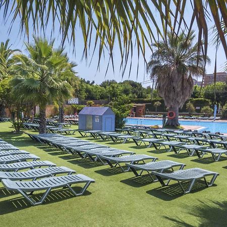 Apartments In Blanes/Costa Brava 35181 外观 照片